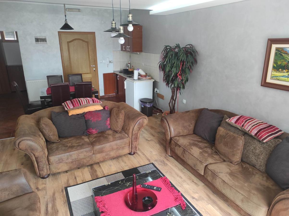 Apartments Vila Knez Zlatibor Extérieur photo