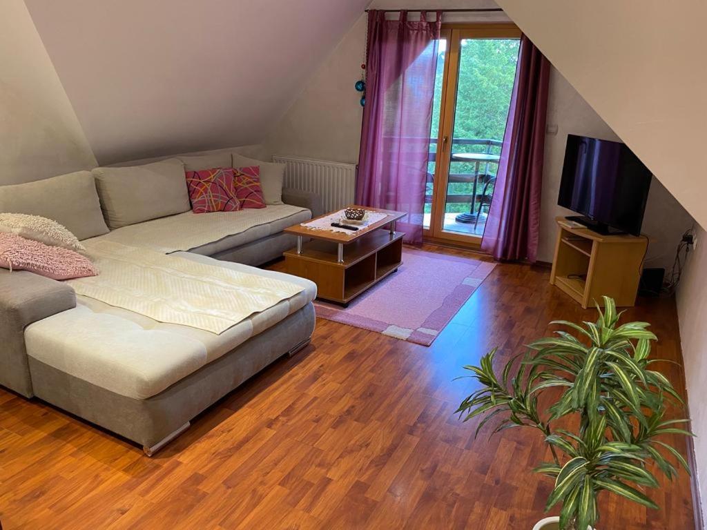Apartments Vila Knez Zlatibor Chambre photo